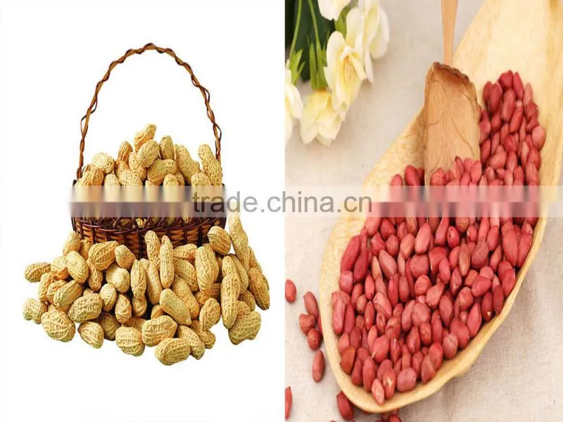 home cold oil press machine for peanut oil press machine