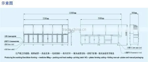 Pharmaceutical Packaging Line, Tablet Pharmaceutical Production Line