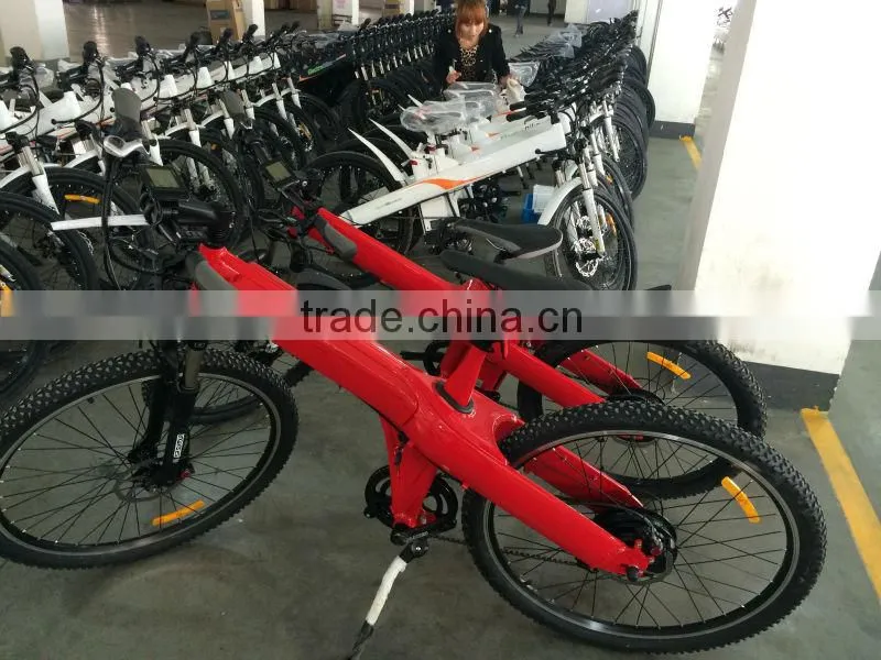 Seagull - Hot sell seagull electrical bike in the world , crazy popular in the Mexico