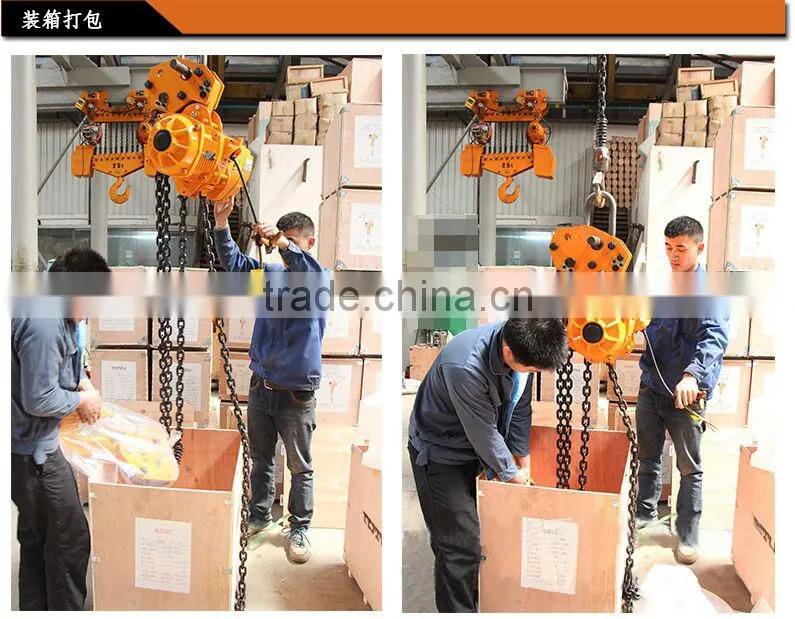 Low Headroom Chain Hoist Electric Hoist for Garage
