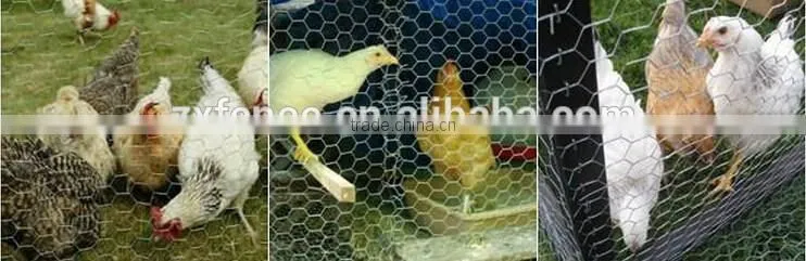 high quality welded gabion and pvc gabion basket