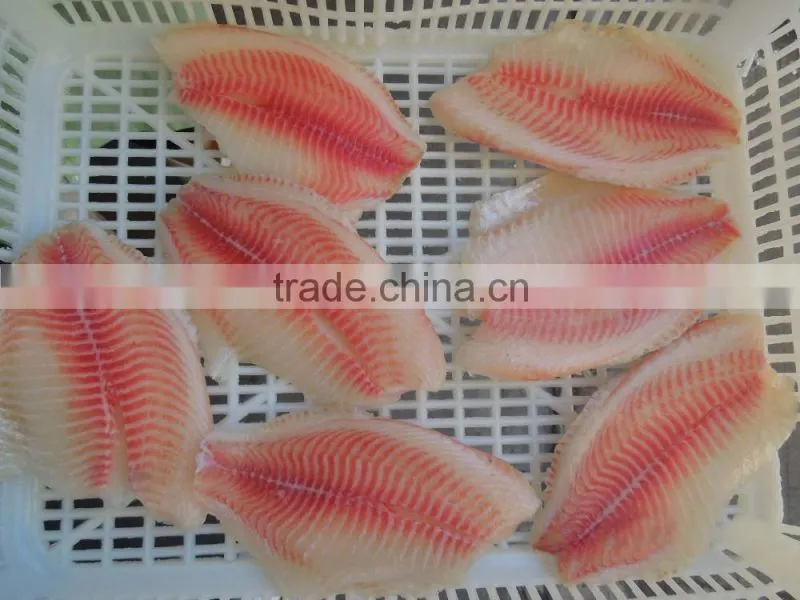 IQF Frozen Tilapia Fillet For Sale