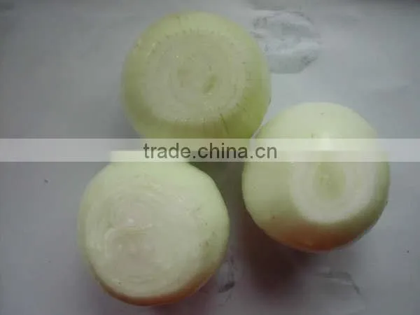 White good peeled onion producer in china