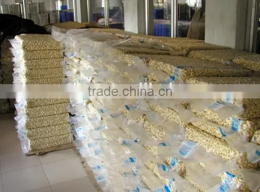 Favorable price of raw cashew nut