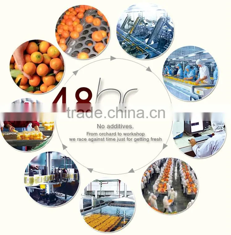 Purely Natural Wholesale Distributors Canned Fruit