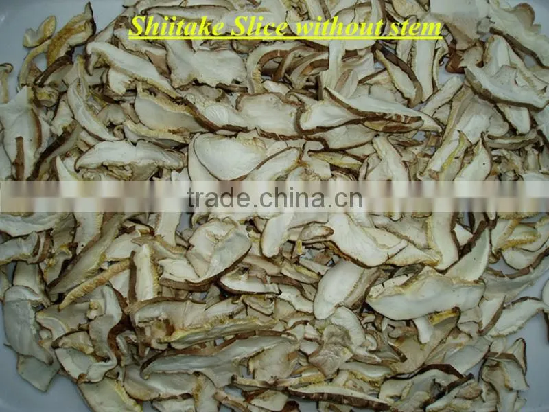 shiitake mushroom