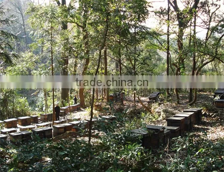 beekeeping supplies raw propolis from China