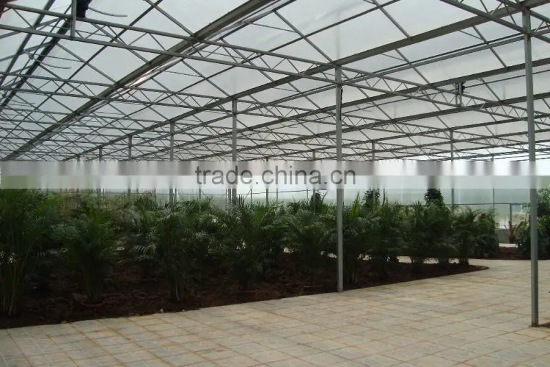 Poly Carbonate Covered Agricultural Greenhouse For Agricultural Plants