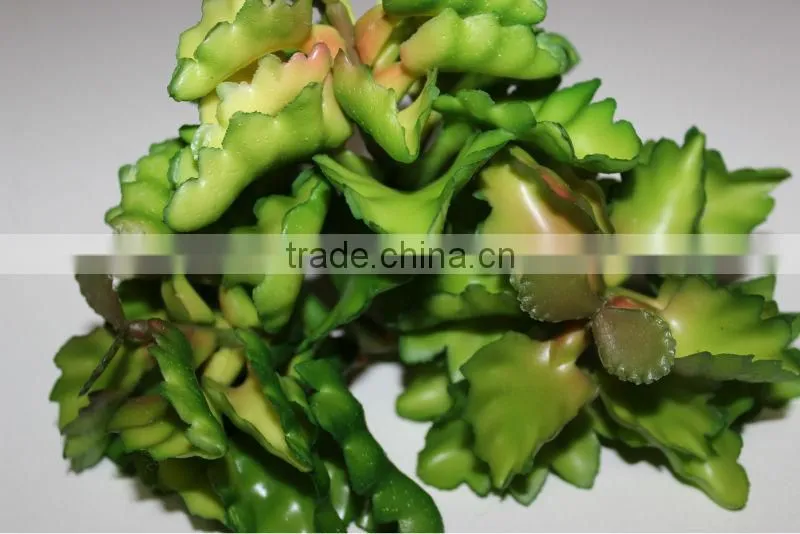 artificial succulent plants making