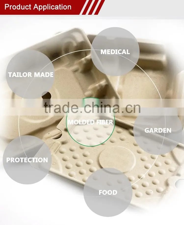 Oem And Odm Service Eco-Friendly Cosmetic Tube Packaging