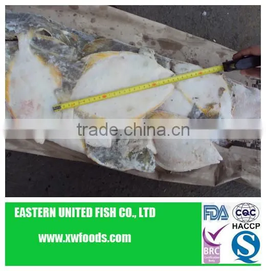 seafood sole-yellow fin fillets