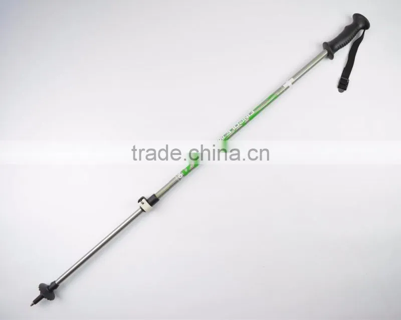 Alpine ski pole