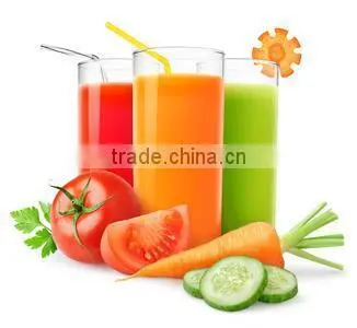 Stainless Steel Juice Centrifugal Machine|Vegetable Juice Centrifuge Separator