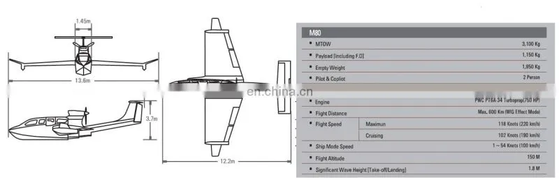 Airfish- WIG craft /water craft/fly ship