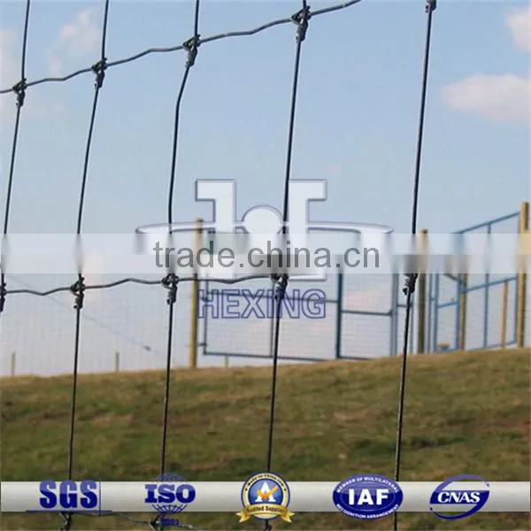 Galvanized Grassland Fence/Field Wire Mesh Fence