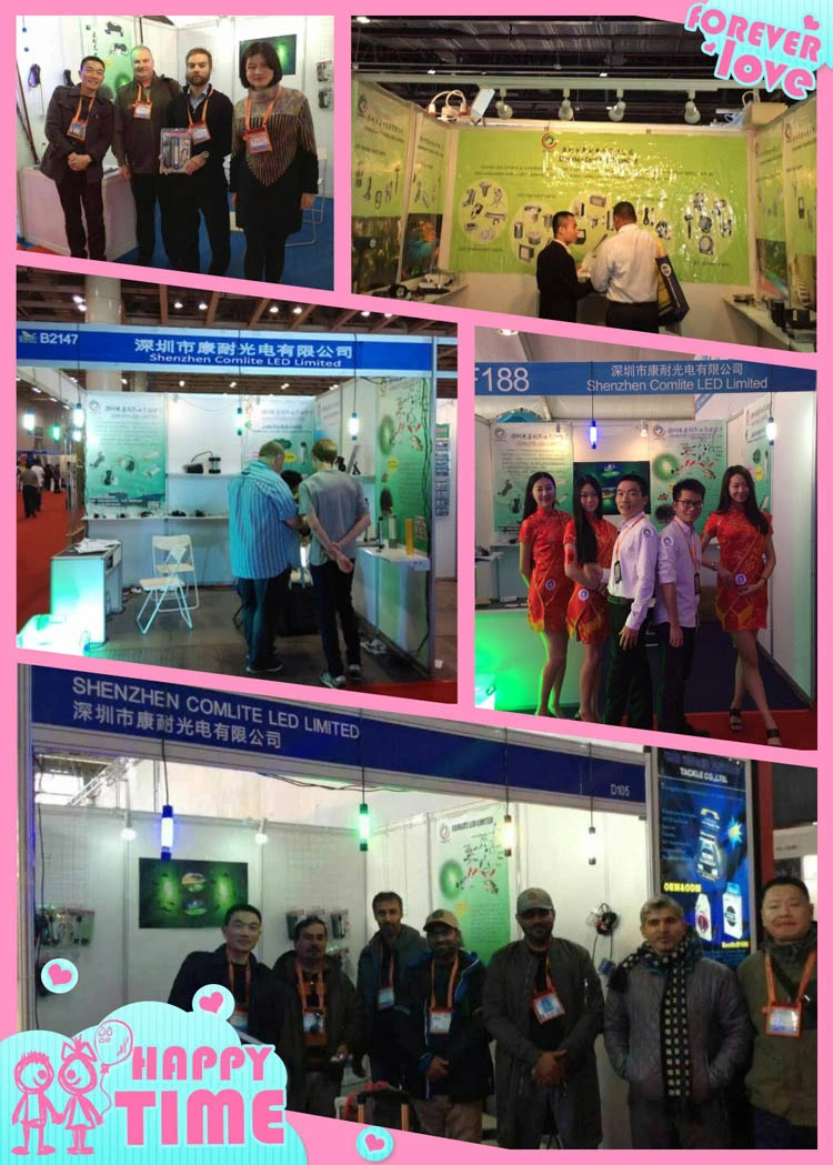Shenzhen Comlite LED Limited company overview - view 4