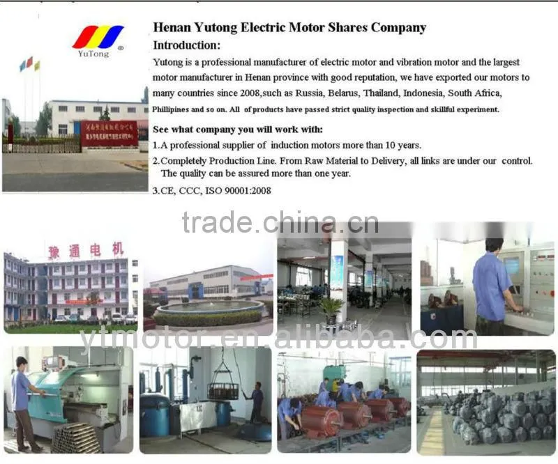 Y2 Cast Iron three Phase induction motor