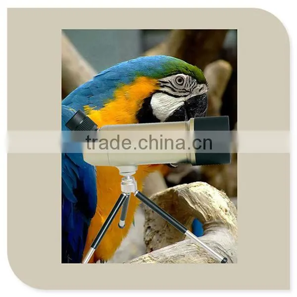 18X60 45 Degree Bird watching beach Astronomical Observation Binocular (S1670)