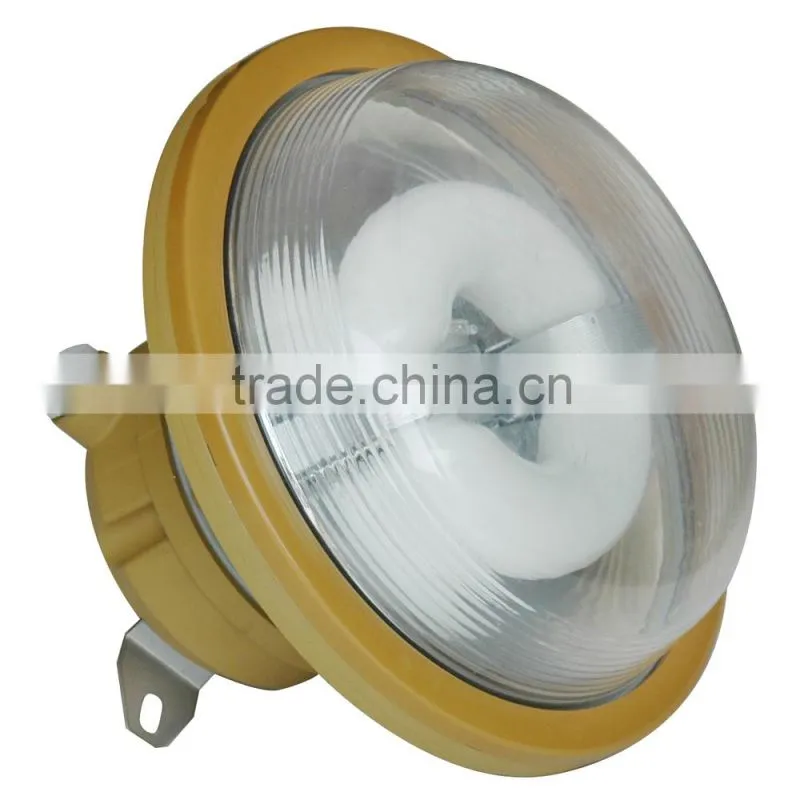 40w 50w 60w induction tri-proof lights