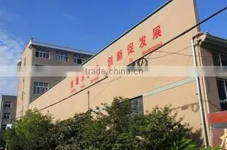 Yongkang Longyingfei Industry & Trading Co., Ltd. company overview - view 2