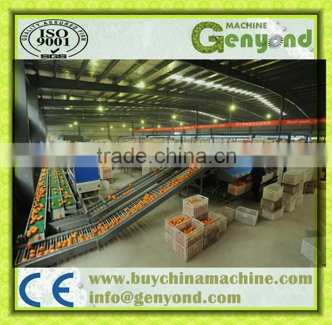 orange opto-electronic grading line