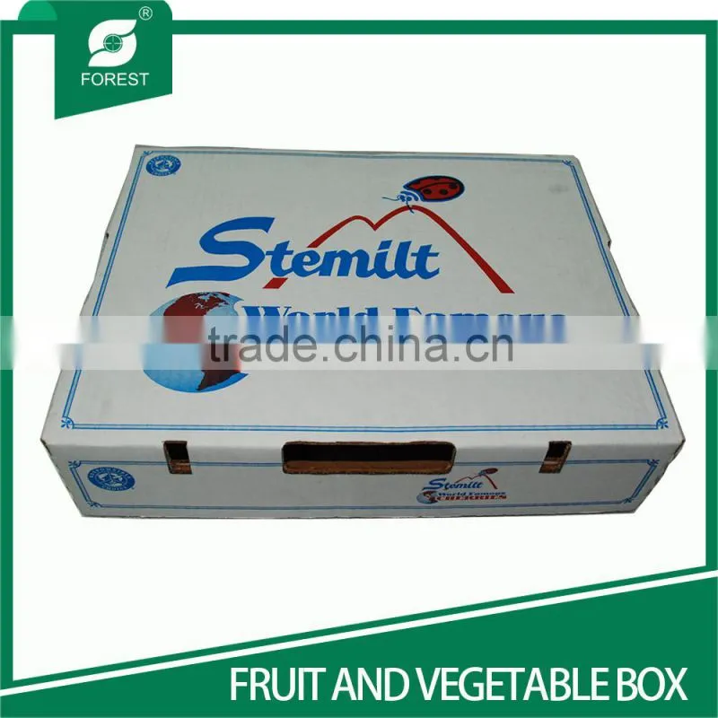 NEW STYLE WHITE CORRUGATED FRUITS PACKAGING BOXES WITH HOILES