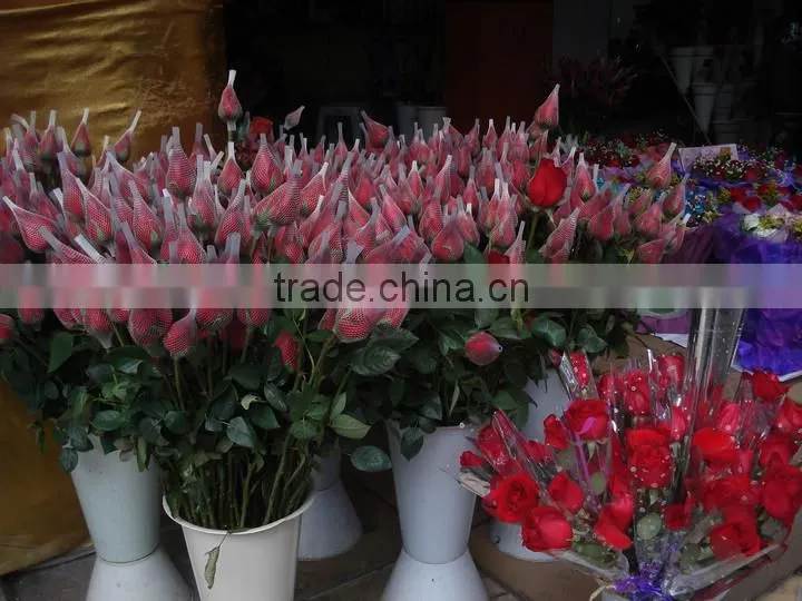 Flexible PE roses protection packaging sleeve netting