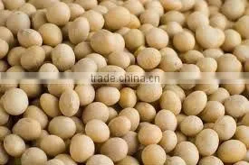 Cold Pressed Soy Bean Oil