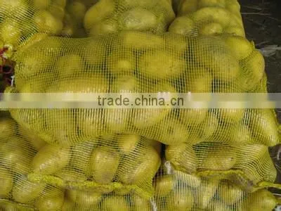 New crop potato with high quality