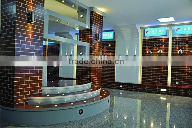adjustable wall shine down light