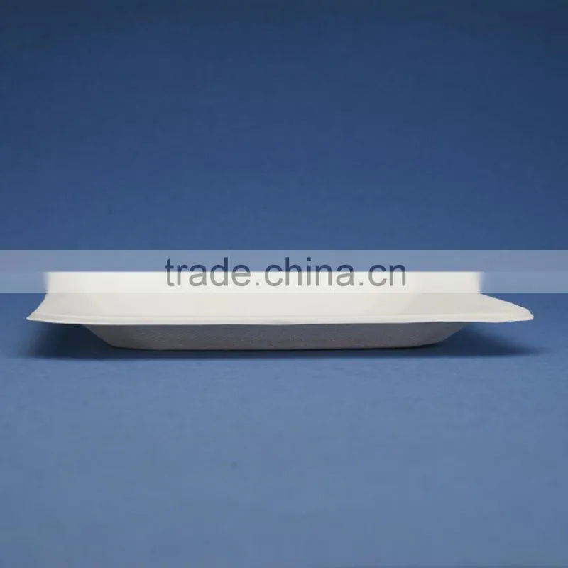 PL-08-S 8.25 inches different shapes disposable flate square shape sugarcane dinner plates