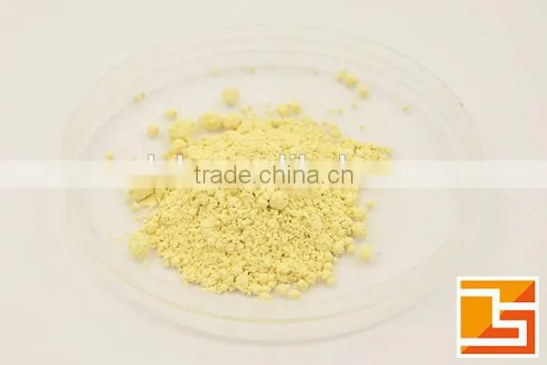 100% natural Gingerol ginger extract powder water soluble
