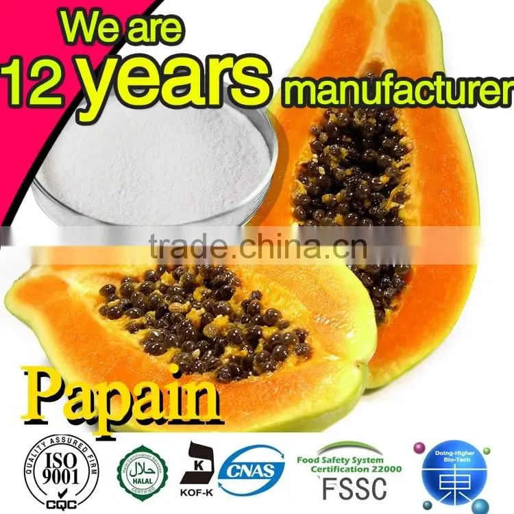 100% natural High quality factory supply papaya powder in Dried Fruit