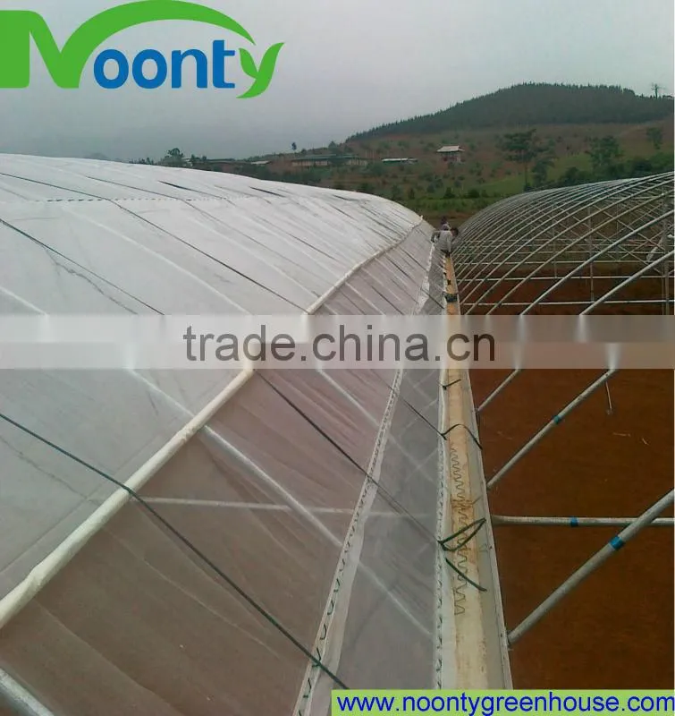 Industrial Greenhouse