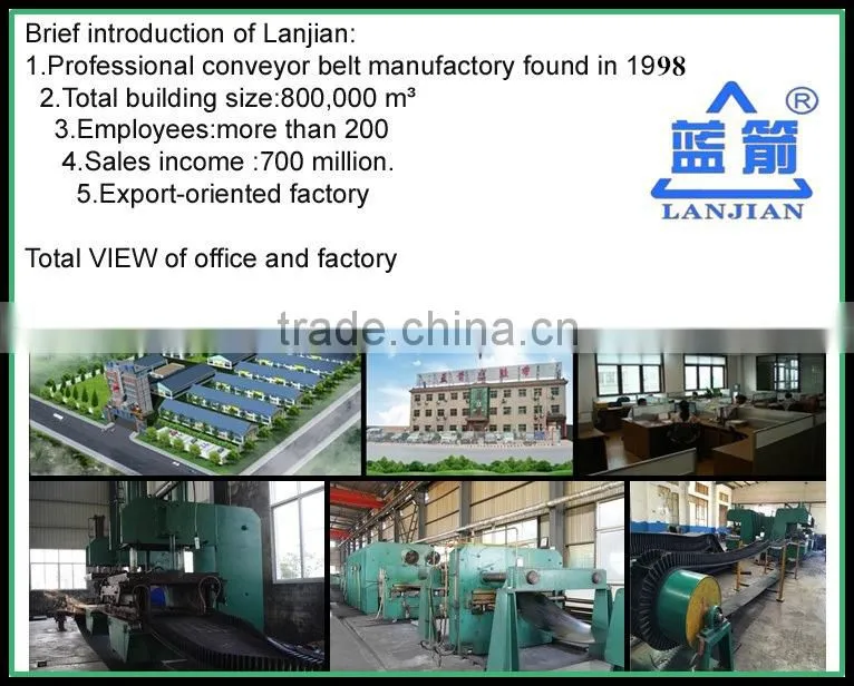 EP NN CC V Chevron/ Patterned Conveyor Belt for packaged materials