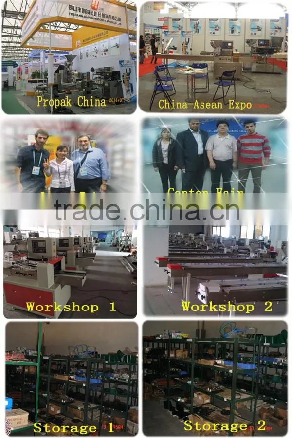 Automatic 500g dertergent powder bag packaging machine (DCTWB-200Z)