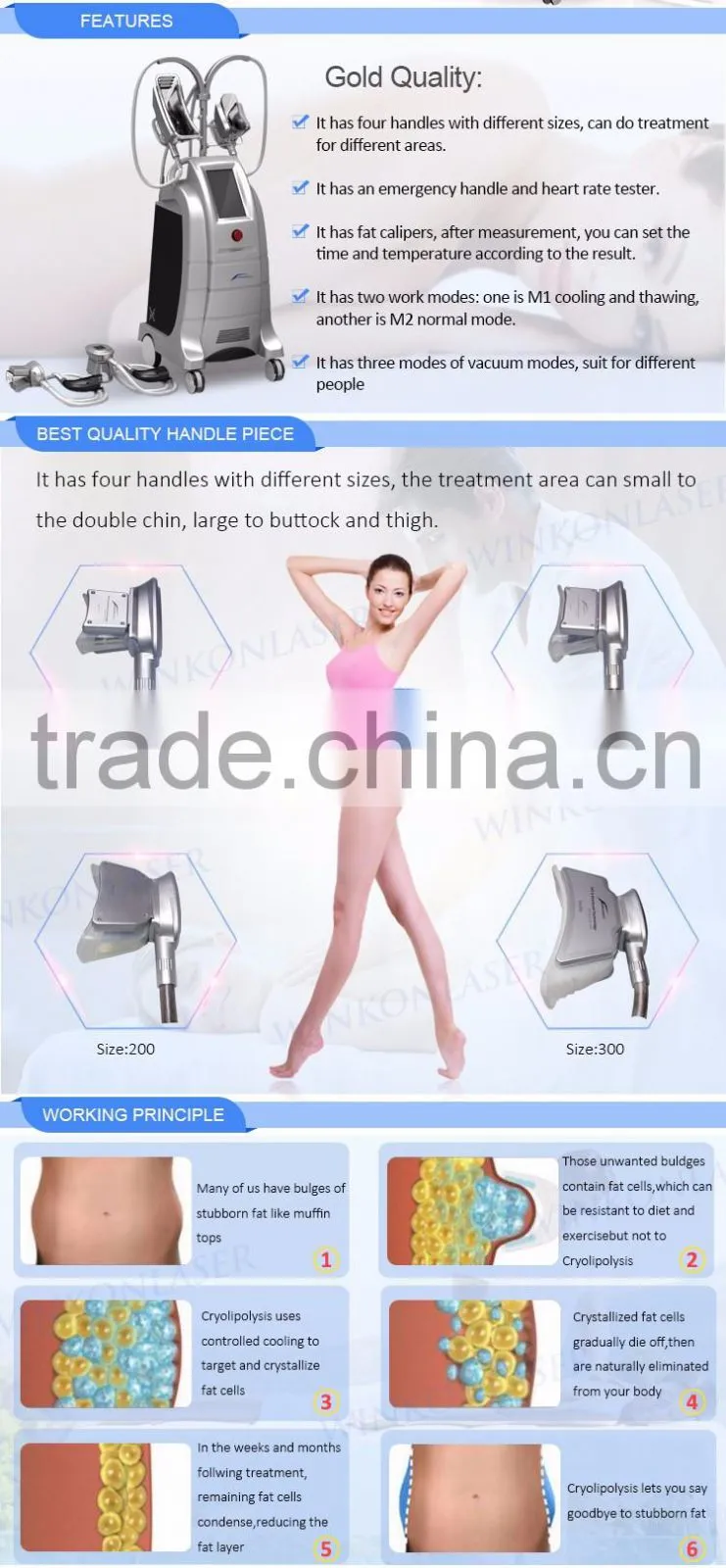 Low price CE / Rohs approved weight loss cold body sculpting cryolipolysis machine