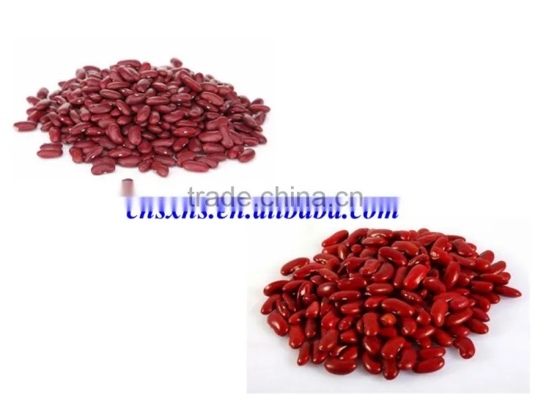Hot sale red kidney beans with great quality and price