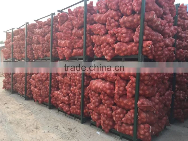 Fresh Onion Export to Dubai