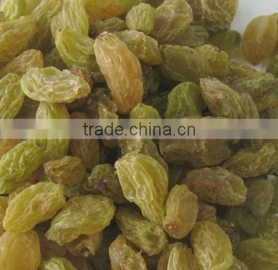 top quality raisin(sun dried) from xinjiang