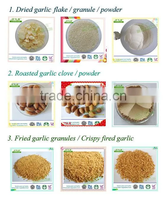garlic granules 8-16,16-26,26-40,40-80 mesh,dried vegetables, dried garlic flake