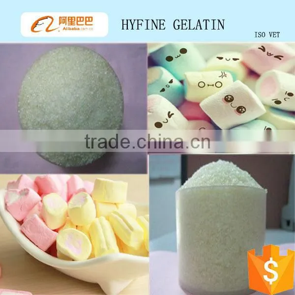 gelatin scrap