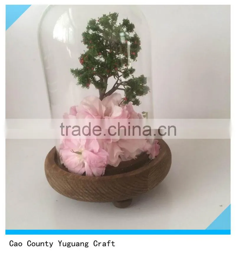 antique Wooden view flower plate with glass bell jars