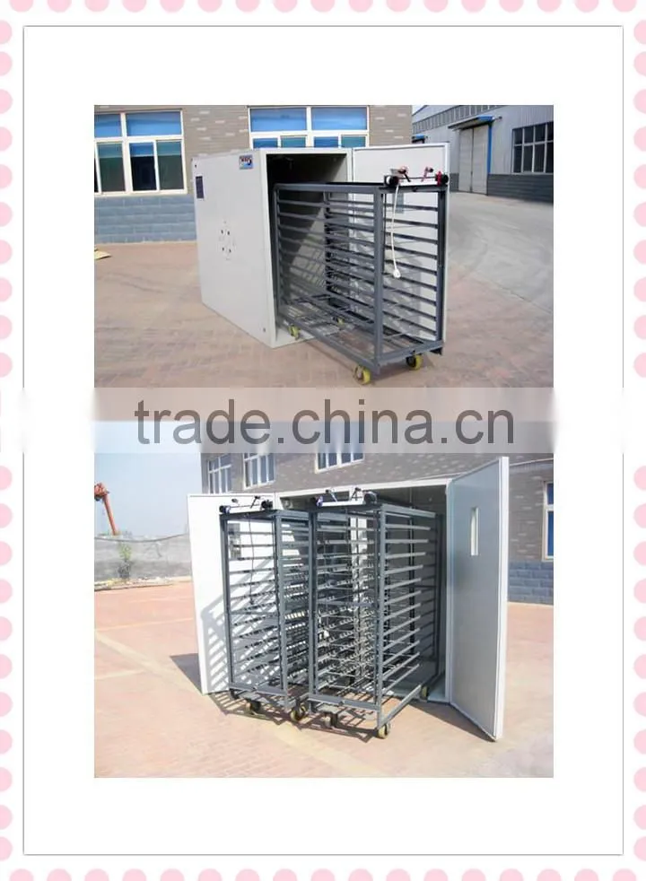 chicken eggs incubators and hatchers