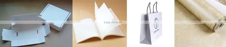 Stone Paper Manufacturing Line with Twin Screw Extruder for Sheet