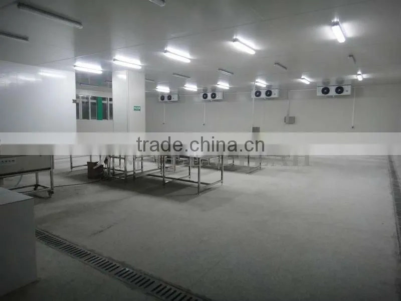 Zhuhai vegetables processing and distribution center for Hong Kong and Macao