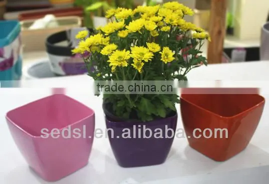 home decorative plant pot,square bonsai pot,cheap plastic flower pot