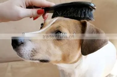 Dog slicker brush, Pet and dog brush, Dog pin brush