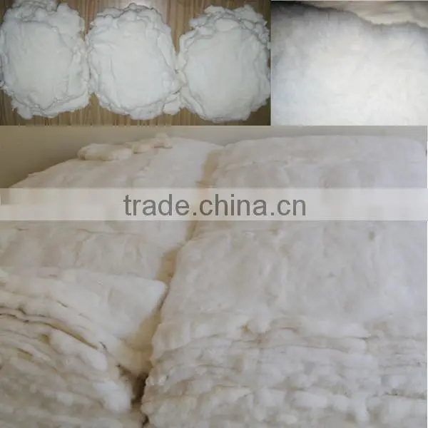 fashion design rex rabbit fur wholesale
