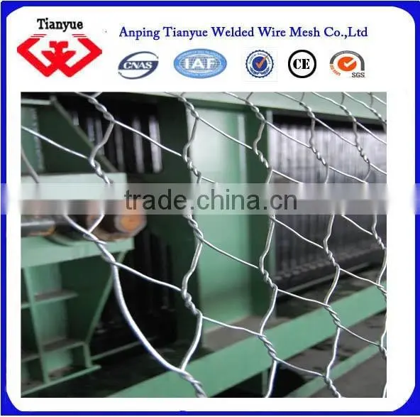hot dipped galvanized 10X10mm hexagonal chicken wire mesh